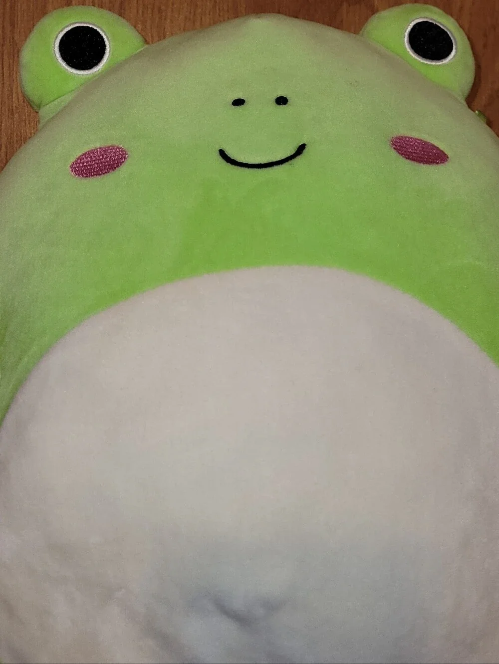 Squishmallows 14” Wendy the Frog Green Plush Kellytoy CUTIE Clean No Tag